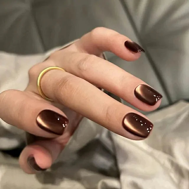Born Pretty Autumn Water Light Cat Magnetic Gel Polish Dark Chocolate MY80 (10ml)