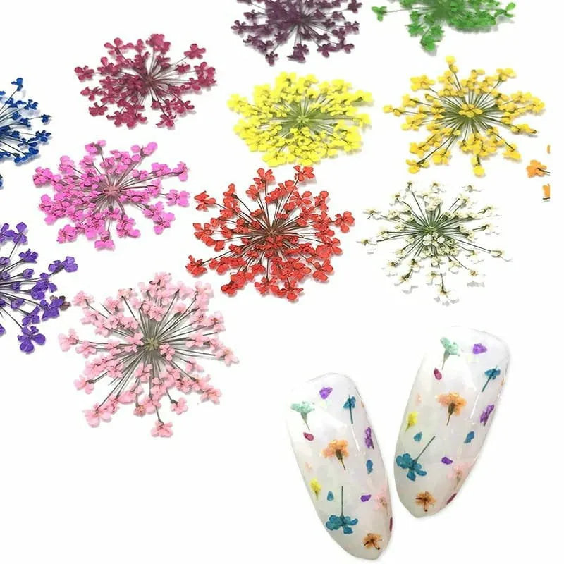Dry Flowers Nail Art Grid (Set Of 12)