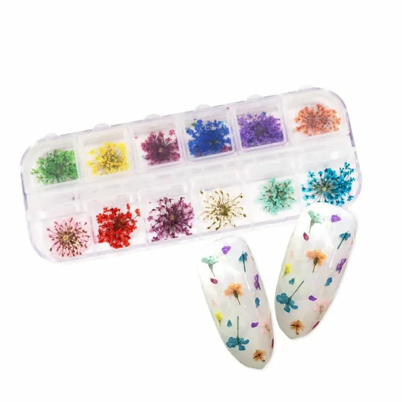 Dry Flowers Nail Art Grid (Set Of 12)