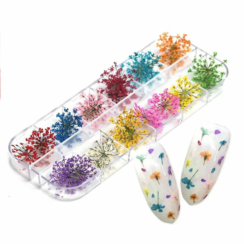 Dry Flowers Nail Art Grid (Set Of 12)