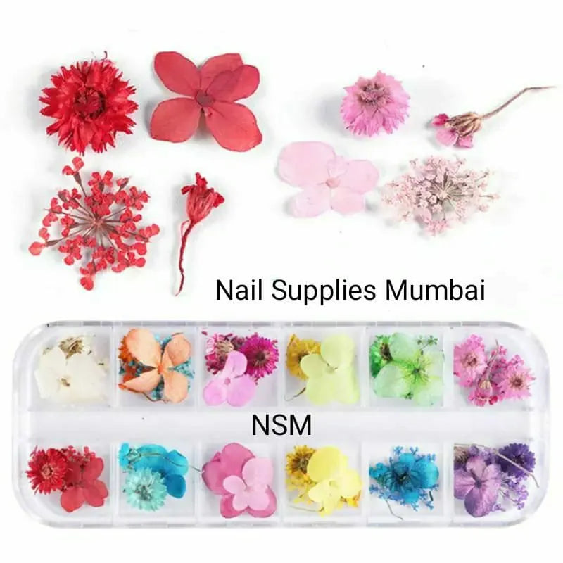 Dry Flowers Grid Box Model No. 3