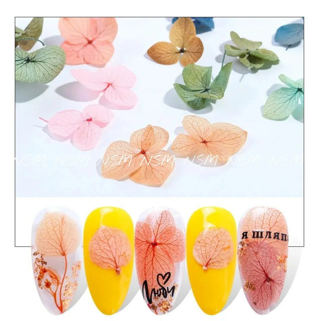 Dry Flower Petals Grid