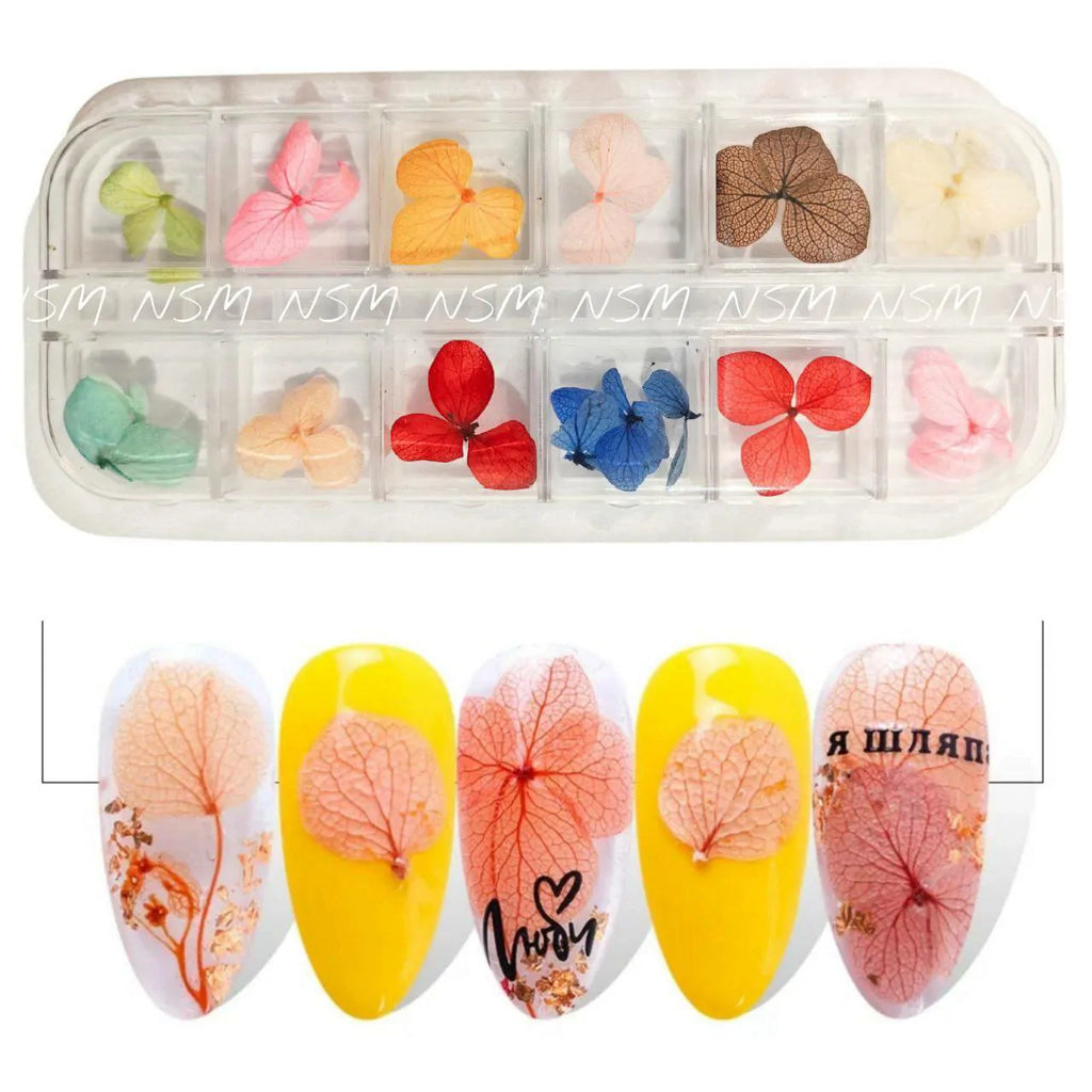 Dry Flower Petals Grid