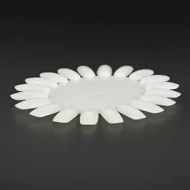 Oval Shaped Nail Art Practice Wheels Set (10 Pcs)