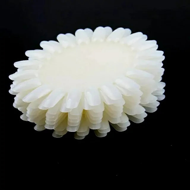 Oval Shaped Nail Art Practice Wheels Set (10 Pcs)