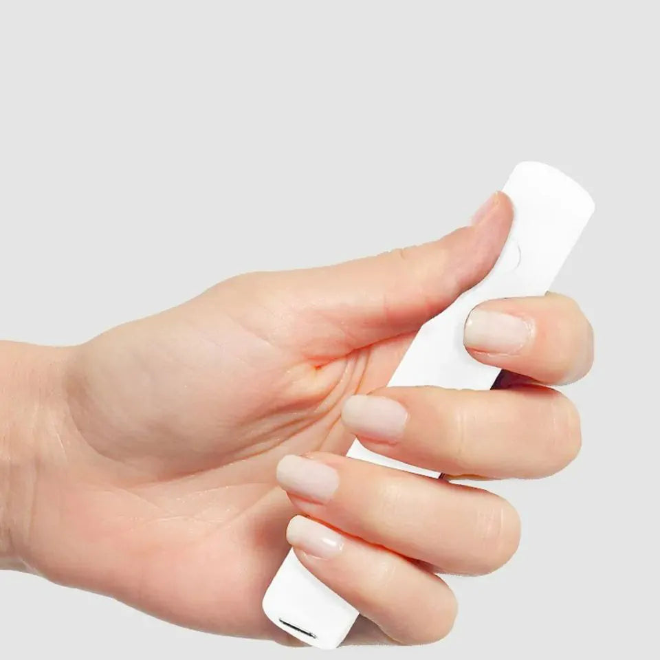 Portable Rechargeable Mini UV Torch Light (3W)