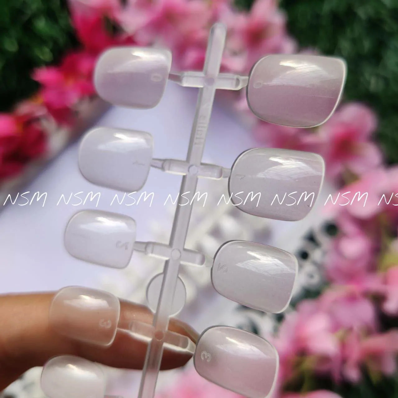Short Square Press On Nail Tips For Children (240 Tips Pack)